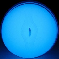 KIIROO - SIENTE EL BRILLO EN LA OSCURIDAD STROKER