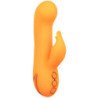CALEXOTICS - VIBRADOR MONTECITO MUSE CONEJO NARANJA DE CALIFORNIA DREAMING