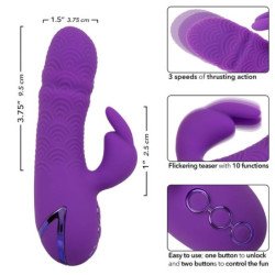CALEXOTICS - MANHATTAN BEACH MARVEL VIBRATOR RABBIT PURPLE DE CALIFORNIA DREAMING