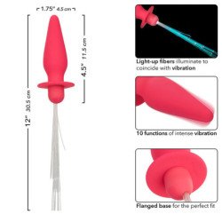 CALEXOTICS - SOUTHERN LIGHTS TAPÓN ANAL CON LUCES 10 VIBRACIONES SILICONA ROSA
