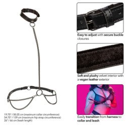 CALEXOTICS - CABEZAL DE CADENA EUPHORIA Y CORREA TALLA GRANDE