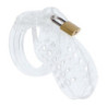 HIDDEN DESIRE - JAULA DE CASTIDAD EXTREMA PARA PENE DE ACRÍLICO TRANSPARENTE AJUSTABLE