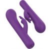 B SWISH - VIBRADOR INFINITO DE LUJO BWILD BUNNY CONEJO 10 VIBRACIONES MORADO
