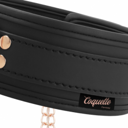 COQUETTE CHIC DESIRE - COLLAR CON PINZAS PARA PEZONES DE FANTASÍA CON FORRO DE NEOPRENO