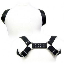 LEATHER BODY - ARNESCO CON...