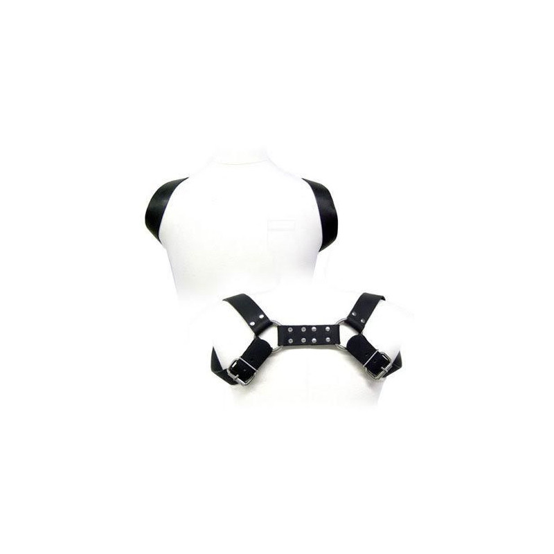 LEATHER BODY - ARNESCO CON FUNDA