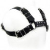 LEATHER BODY -  PARA BULLDOG NEGRO