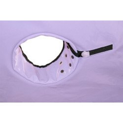 DOMO SECRETO - KINK CLUB CABINA BUKKAKE MORADO