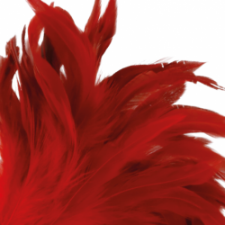 OSCURIDAD - BOLÍGRAFO ESTIMULANTE ROJO 24 CM