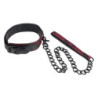 CALEXOTICS - COLLAR ESCÁNDALO CON CORREA NEGRA