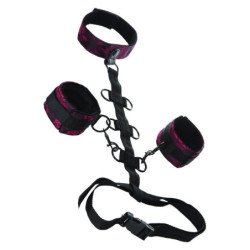 CALEXOTICS - SOPORTE...