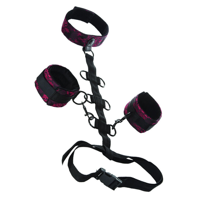 CALEXOTICS - SOPORTE COMPORAL ESCÁNDALO CON CUELLO