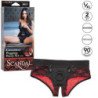CALEXOTICS - CONJUNTO ESCANDALOSO DE BRAGUITAS SIN ENTREPIERNA CON DILDO TALLA L/XL