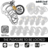 ADDICTED TOYS LOCKED - JAULA DE PENE DE METAL CON CANDADO PLATEADO TAMAÑO M