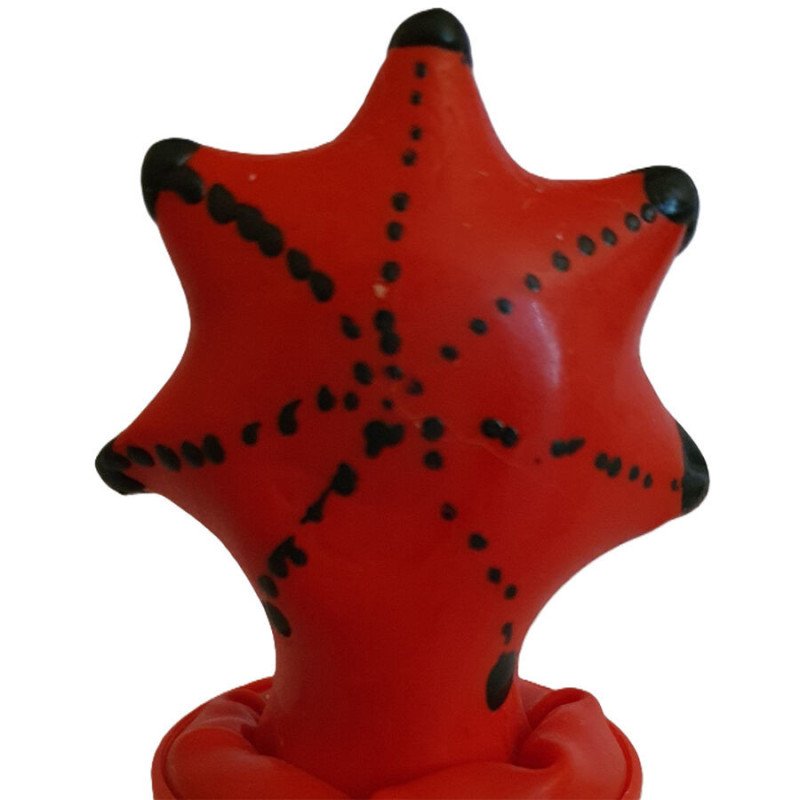 CONDOMERIE - CONDONES DE NOVEDAD PINTADOS A MANO CON DISEÑO DE ESTRELLA DE MAR