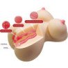 CRAZY BULL - FIONA TORSO FEMENINO REALISTA VAGINA Y ANAL 7.1 KG