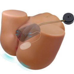 CRAZY BULL - WENDY VIBRADOR Y SUCTOR DE GLÚTEOS FEMENINO REALISTA CON SONIDO 11 KG