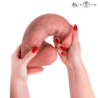 MR INTENSE - DILDO DE SILICONA EXTRAGRANDE SPENCER 28 CM -Ø- 7,3 CM