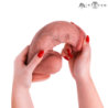 MR INTENSE - DILDO DE SILICONA SPENCER DE GRAN PENE 25,5 CM -Ø- 6,2 CM