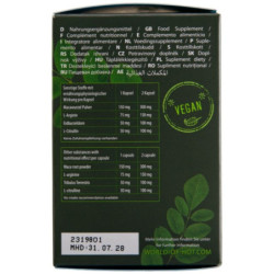 HOT - GORRAS DE MORINGA PARA HOMBRE, 60 UNIDADES