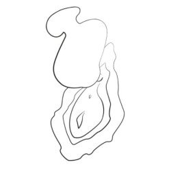 ROMP - VIBRADOR DE DEDO RECARGABLE CON SUCCIÓN CLITORAL KISS