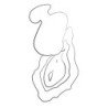 ROMP - VIBRADOR DE DEDO RECARGABLE CON SUCCIÓN CLITORAL KISS