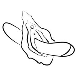 ROMP - VIBRADOR MULTIFUNCIÓN PARA EL PUNTO G HYPE ROJO