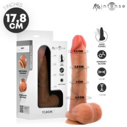 MR INTENSE - GARY S PENE DE...