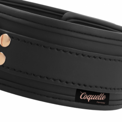 COQUETTE CHIC DESIRE FANTASY COLLAR CUERO VEGANO CON CORREA Y FORRO DE NEOPRENO