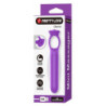 PRETTY LOVE - MINI VIBRADOR MASAJEADOR RECARGABLE GIANA MORADO