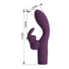 AMOR PRECIOSO - VIBRADOR RECARGABLE CON FORMA DE CONEJO OLIVIA 10 FUNCIONES