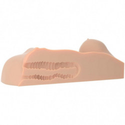 PDX PLUS - MASTURBADOR PERFECTO DDS