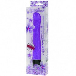 BAILE - VIBRADOR MULTIVELOCIDAD 21,5 CM MORADO