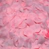 DIABLO PICANTE - 100 PINK PETALS