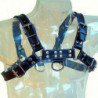 CUERPO DE CUERO - ARNESCO DE CUERO AZUL Y NEGRO PARA EL PECHO (BULLDOG)