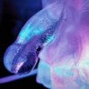 JUEGA CONMIGO - MOLDE DE TOBOGÁN DE HIELO CON FORMA DE PENE GIGANTE