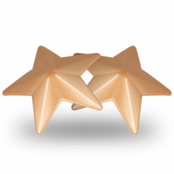 COQUETTE CHIC DESIRE - CUBREPEZONES GOLDEN STARS