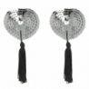 COQUETTE CHIC DESIRE - CUBREPEZONES PLATEADOS