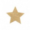 JOYERÍA - CUBREPEZONES FLASH CON ESTRELLA DORADA
