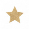 BIJOUX INDISCRETS - CUBREPEZONES FLASH CON ESTRELLA DORADA