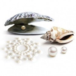 JOYERÍA - MIMI PEARL DORADA