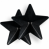 COQUETTE CHIC DESIRE - CUBREPEZONES BLACK STARS