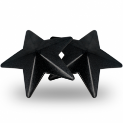 COQUETTE CHIC DESIRE - CUBREPEZONES BLACK STARS