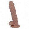 MR INTENSE - 24 PENE REALISTA 21 CM -O- 4.6 CM