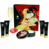SHUNGA - KIT SECRETO DE FRESAS GEISHA Y CAVA