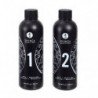 SHUNGA - GEL DE MASAJE ERÓTICO CORPORAL CON MELÓN Y MANGO ORIENTAL