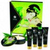 SHUNGA - KIT DE TÉ VERDE ORGÁNICO GEISHA SECRET