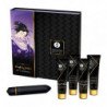SHUNGA - KIT DE CHICA TRAVIESA