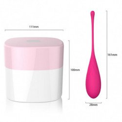 LESLIE - JUEGO DE ENTRENAMIENTO DE MÚSCULOS PÉLVICOS KEGEL FIT CON 6 PESAS