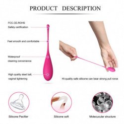 LESLIE - JUEGO DE ENTRENAMIENTO DE MÚSCULOS PÉLVICOS KEGEL FIT CON 6 PESAS